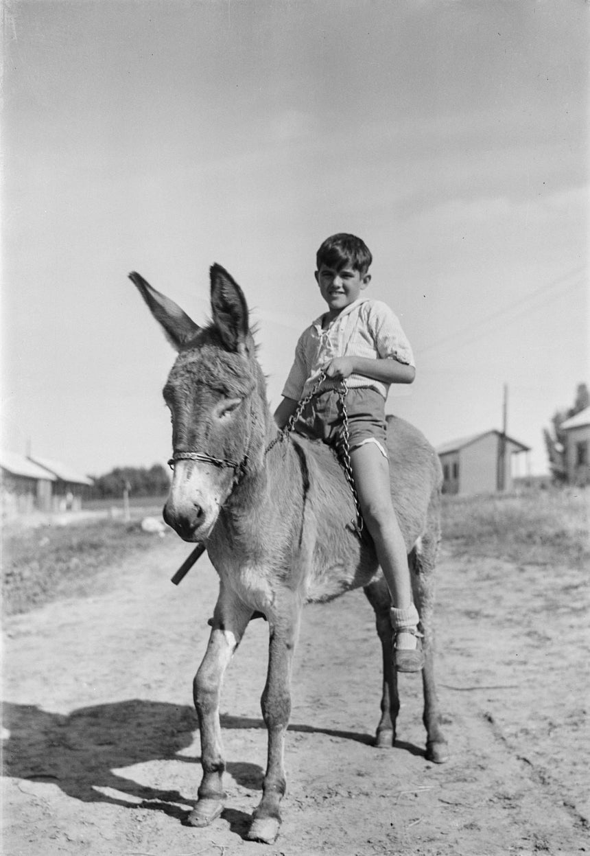 A Boy is Riding a Donkey