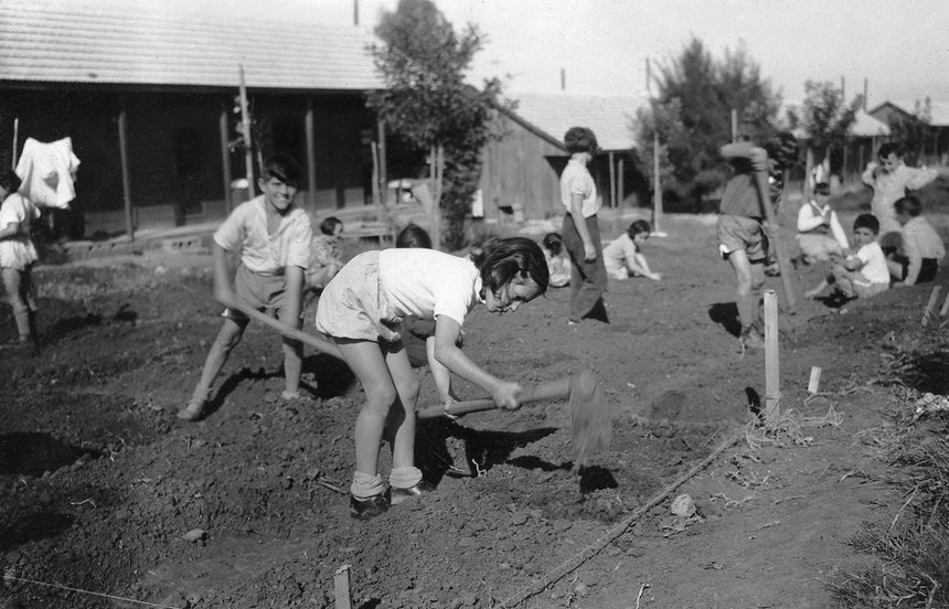ילדים עובדים בגן