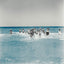 watermark