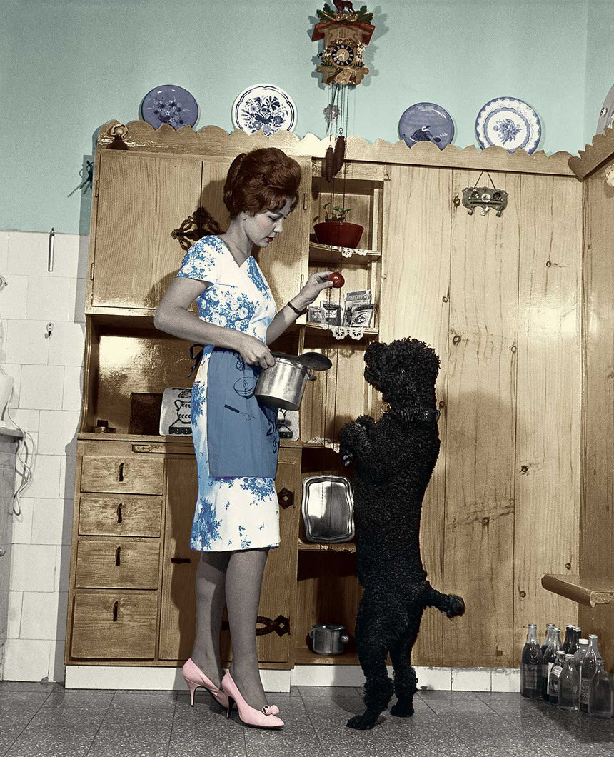 Colorized Model with Dog