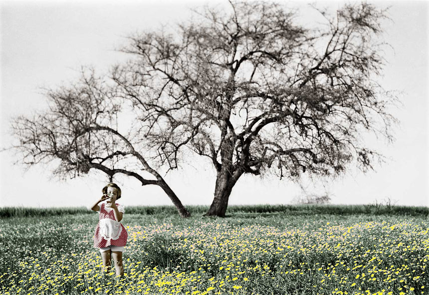הילדה והעץ בצבע