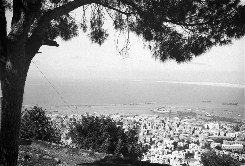 View of Haifa from Mount Carmel