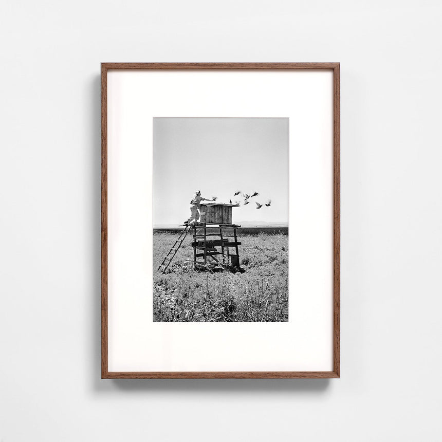 Dark oak frame