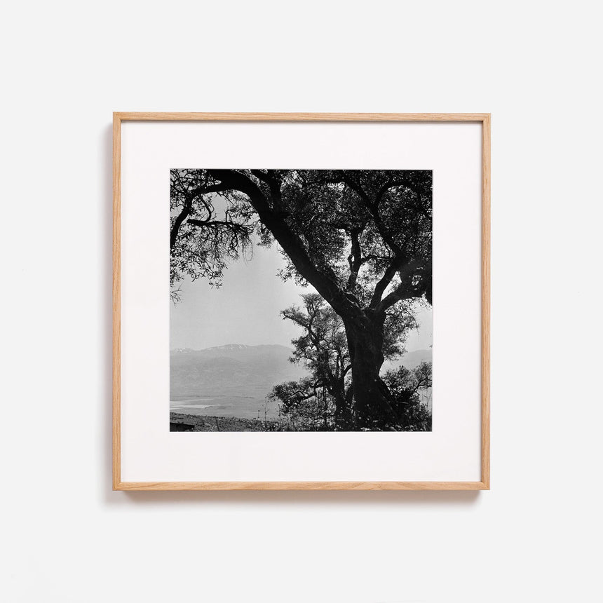Light oak frame