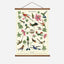Hummingbirds Vintage Poster