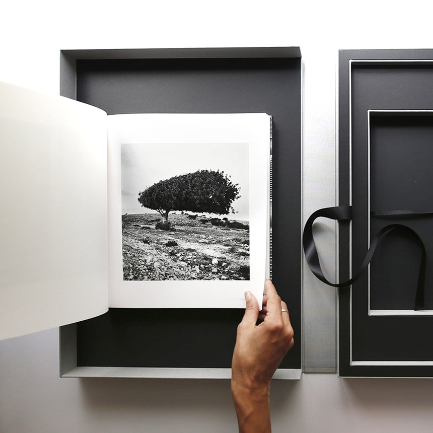 The Art Box