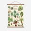 House Plants Vintage Poster