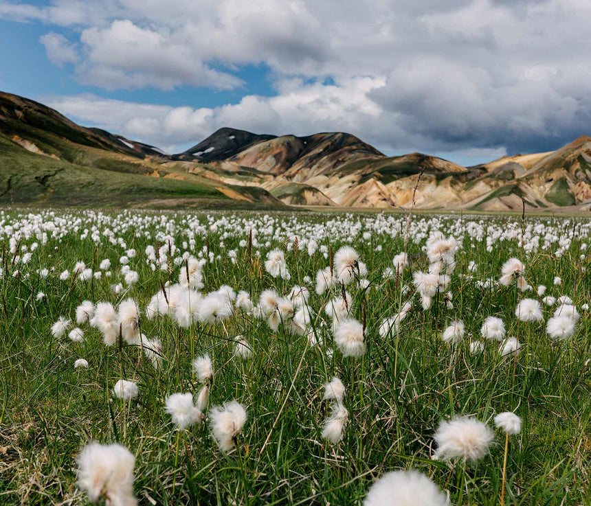 Iceland