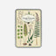 Vintage postcard pack - Ferns