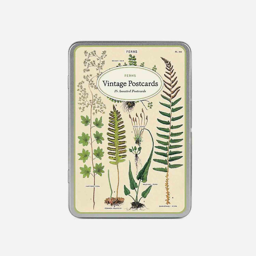 Vintage postcard pack - Ferns