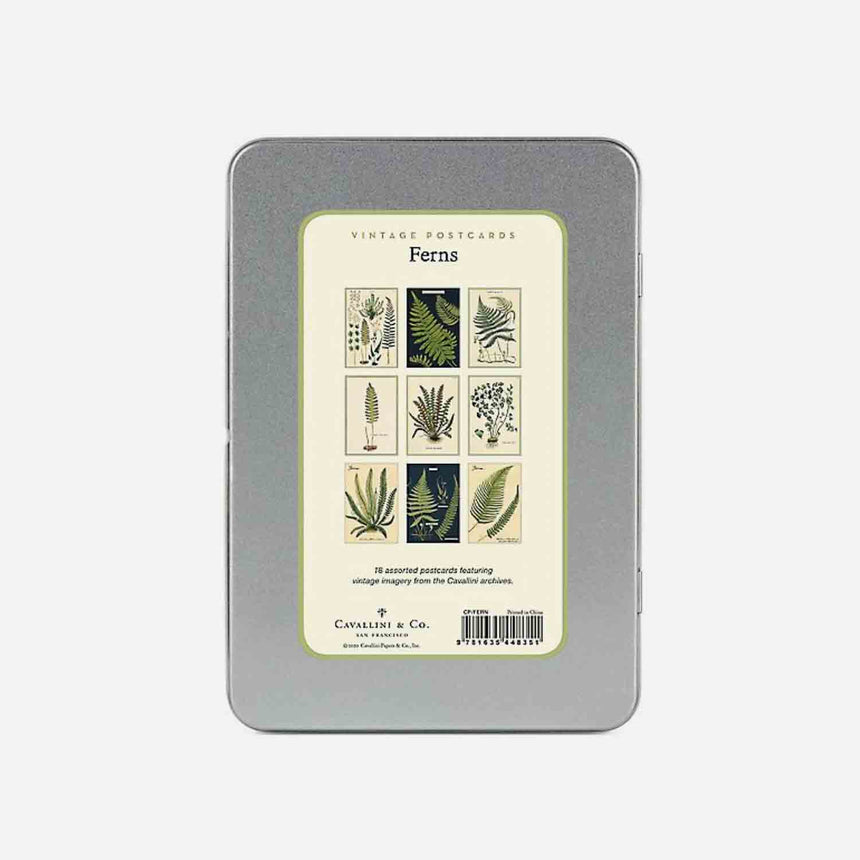 Vintage postcard pack - Ferns