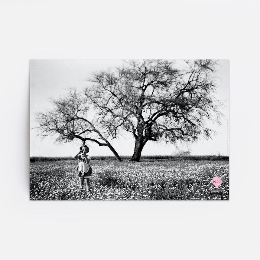 פוסטר: הילדה והעץ