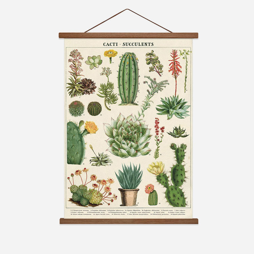 Succulents Vintage Poster
